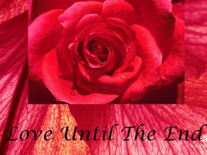 Love Until The End2