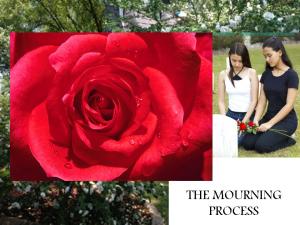 Mourning Process2